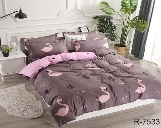 Комплект постільної білизни з компаньйоном R7533