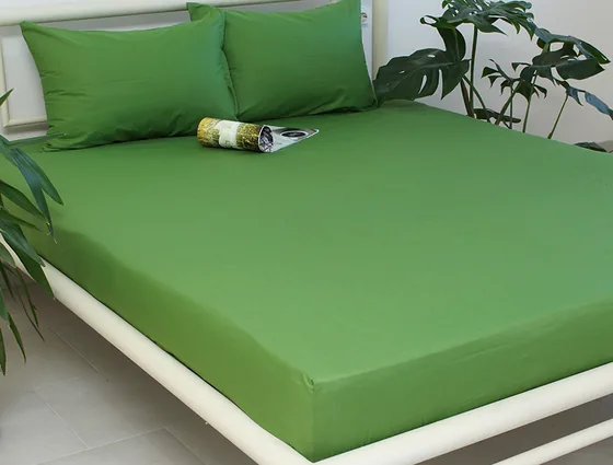 Простирадло на гумці (160х200х20) Cactus