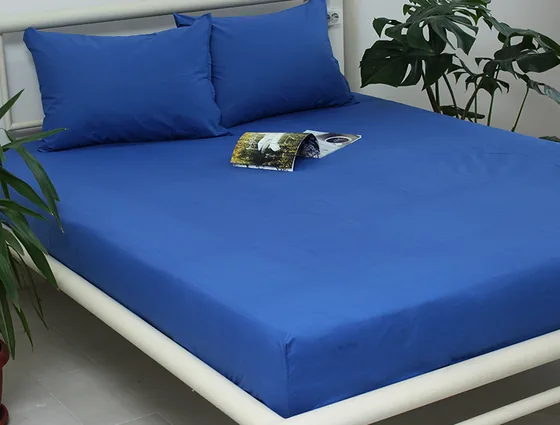 Простирадло на гумці (160х200х20) Princess Blue