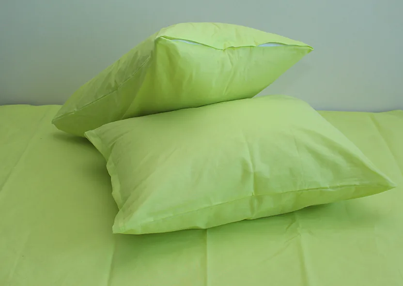 Комплект постільної білизни 2-сп. Sunny Lime
