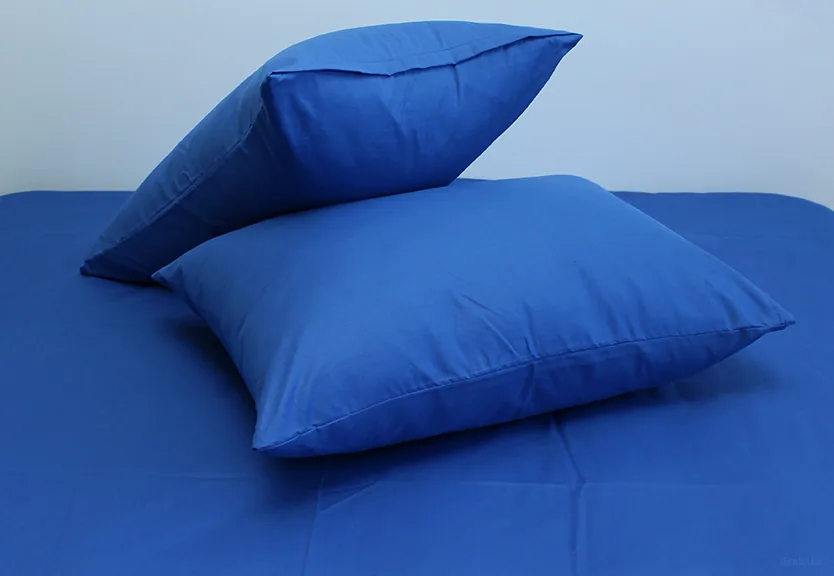 Комплект постільної білизни семейный Princess Blue
