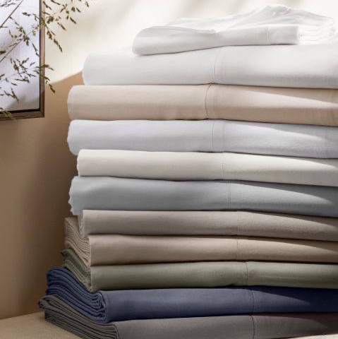 Льон проти Сатину